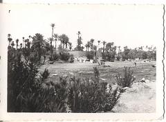 Colomb Bechar octobre 1955  L oued